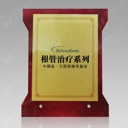 根管治療系列中國區(qū)·大西南應(yīng)用基地